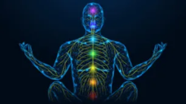 Style for Nervous System Regulation